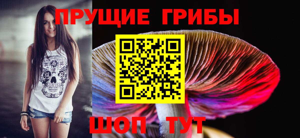 Галлюциногенные грибы мицелий  закладки  Железногорск  Псилоцибиновые грибы прущие грибы  Вход с VPN 