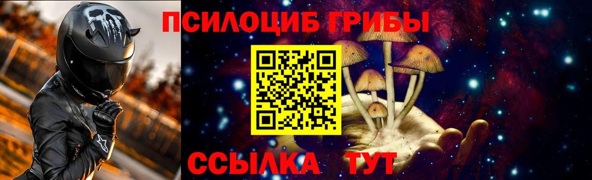 Псилоцибиновые грибы прущие грибы Железногорск